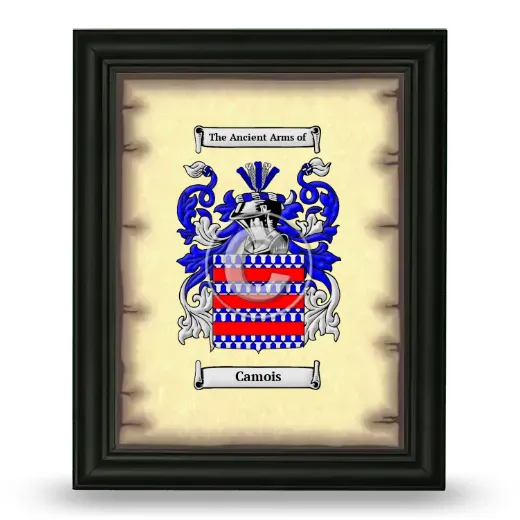 Camois Coat of Arms Framed - Black