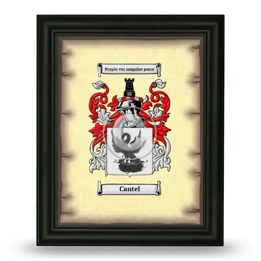 Cantel Coat of Arms Framed - Black