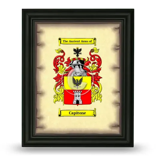 Capitone Coat of Arms Framed - Black