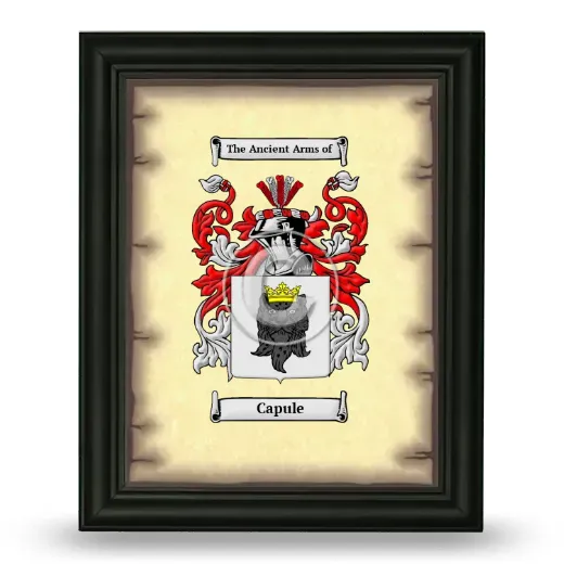 Capule Coat of Arms Framed - Black