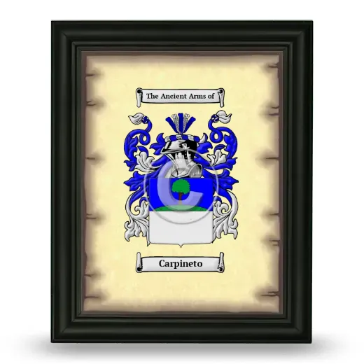 Carpineto Coat of Arms Framed - Black