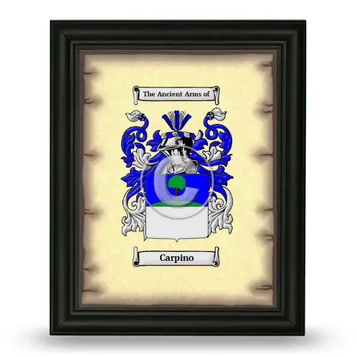 Carpino Coat of Arms Framed - Black