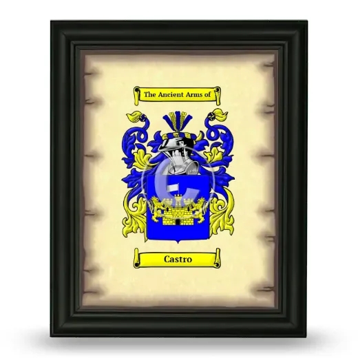 Castro Coat of Arms Framed - Black