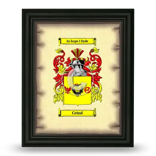 Ceind Coat of Arms Framed - Black