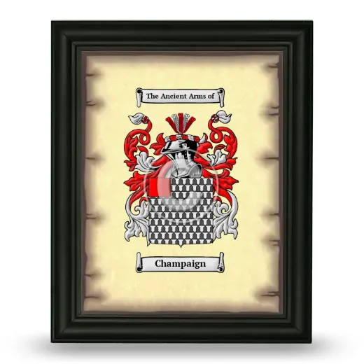 Champaign Coat of Arms Framed - Black