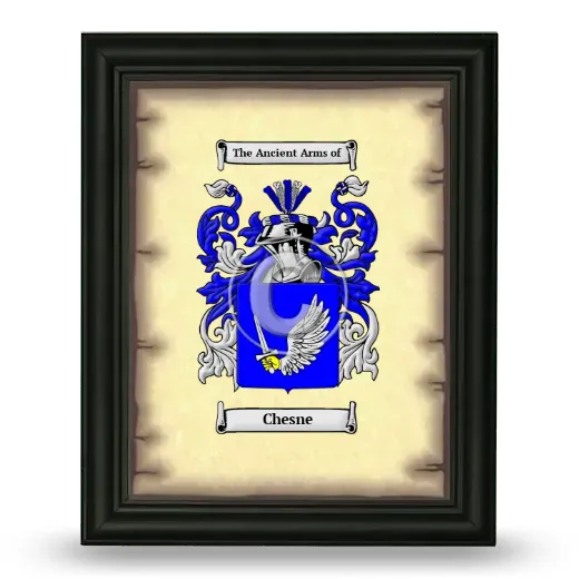 Chesne Coat of Arms Framed - Black