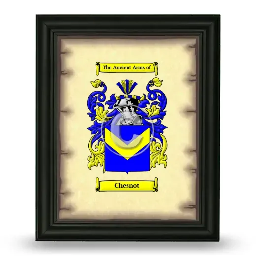 Chesnot Coat of Arms Framed - Black