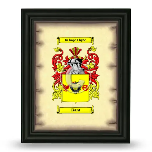 Ciant Coat of Arms Framed - Black