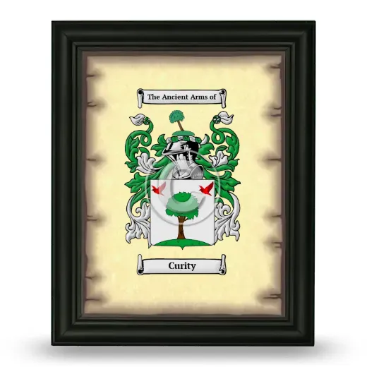 Curity Coat of Arms Framed - Black