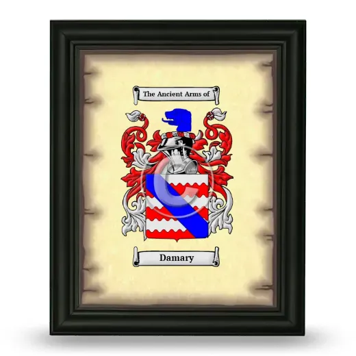 Damary Coat of Arms Framed - Black
