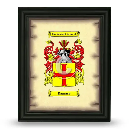 Damase Coat of Arms Framed - Black