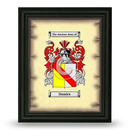 Damica Coat of Arms Framed - Black