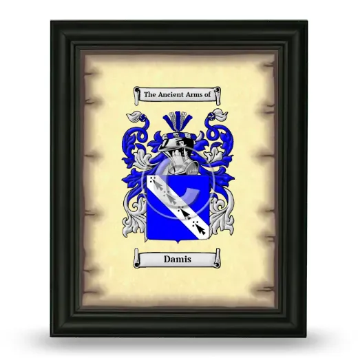 Damis Coat of Arms Framed - Black