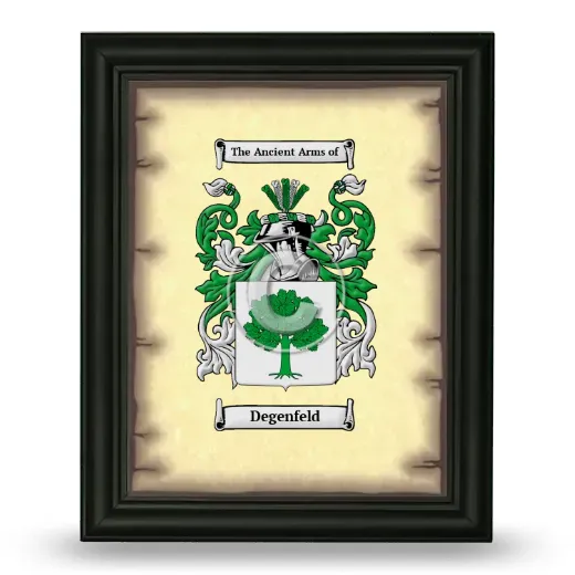 Degenfeld Coat of Arms Framed - Black