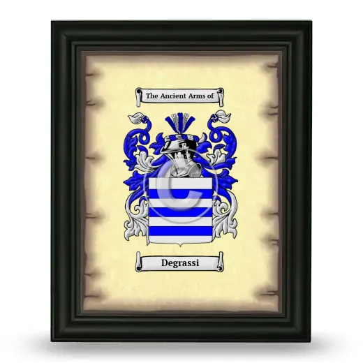 Degrassi Coat of Arms Framed - Black