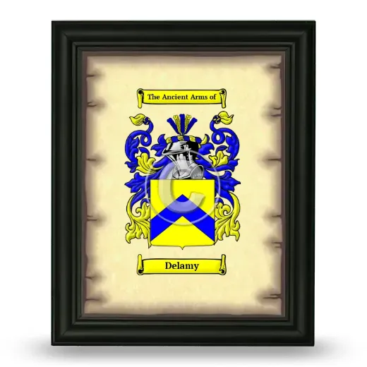 Delamy Coat of Arms Framed - Black