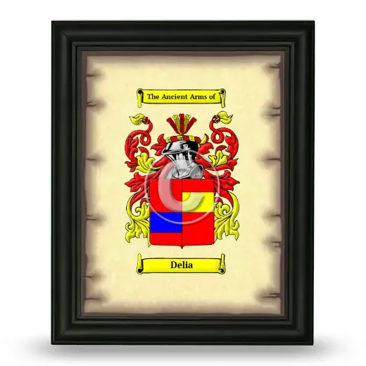 Delia Coat of Arms Framed - Black