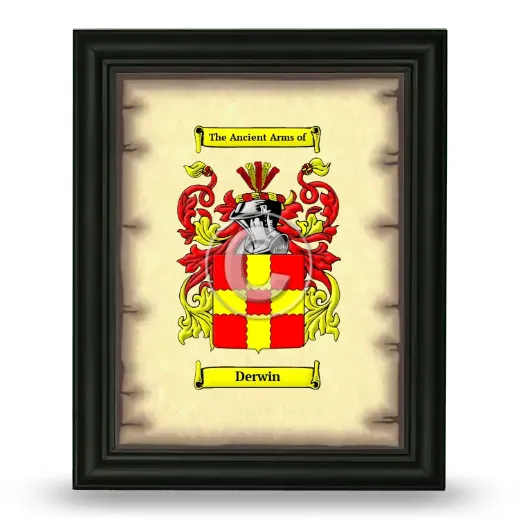 Derwin Coat of Arms Framed - Black