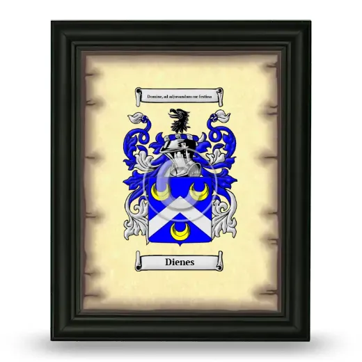 Dienes Coat of Arms Framed - Black