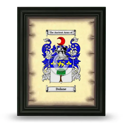 Dolane Coat of Arms Framed - Black