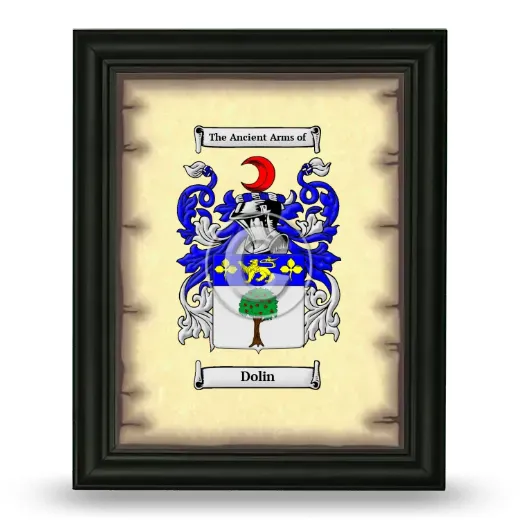 Dolin Coat of Arms Framed - Black