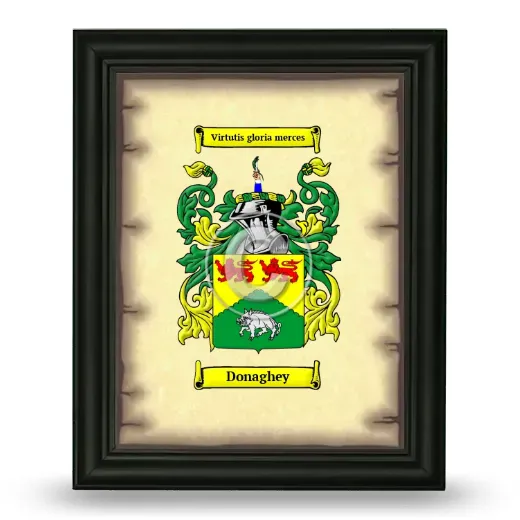 Donaghey Coat of Arms Framed - Black