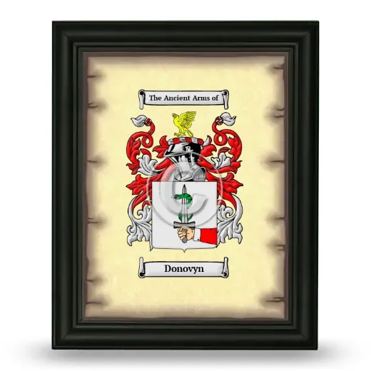 Donovyn Coat of Arms Framed - Black
