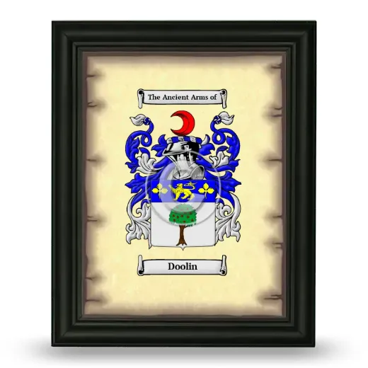 Doolin Coat of Arms Framed - Black