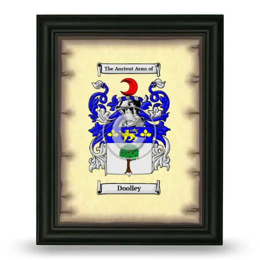 Doolley Coat of Arms Framed - Black