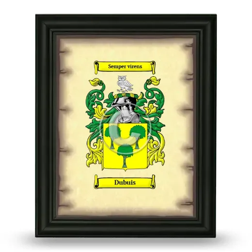 Dubuis Coat of Arms Framed - Black