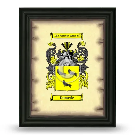 Dumerle Coat of Arms Framed - Black