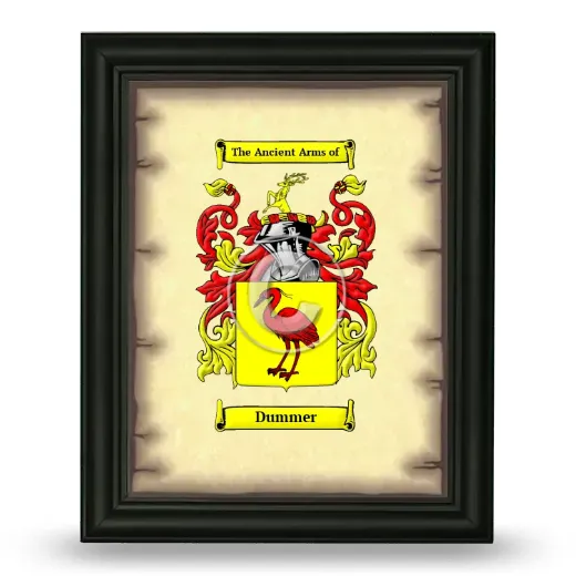 Dummer Coat of Arms Framed - Black