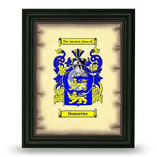 Dumortier Coat of Arms Framed - Black