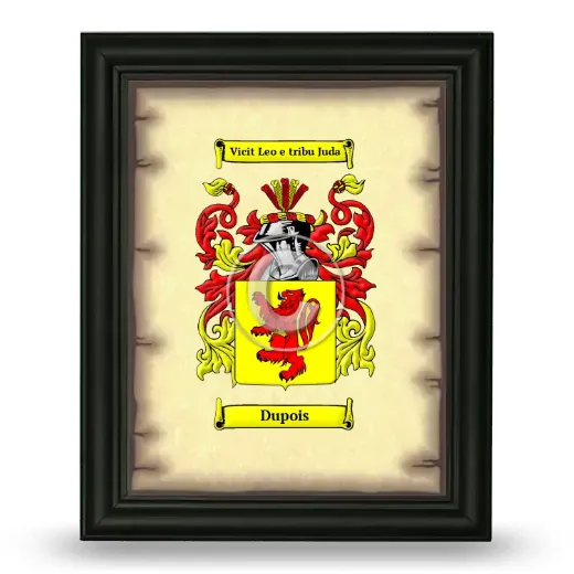 Dupois Coat of Arms Framed - Black