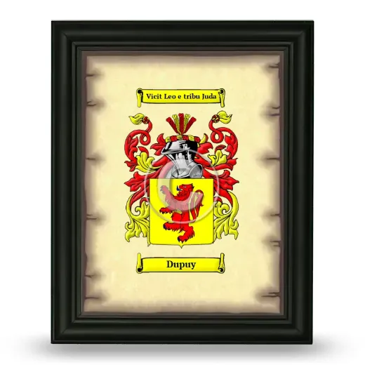 Dupuy Coat of Arms Framed - Black