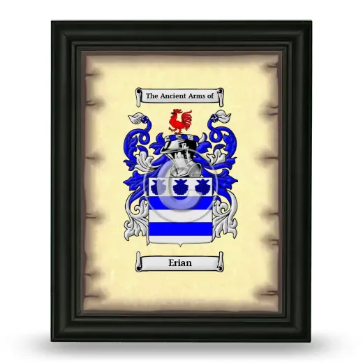 Erian Coat of Arms Framed - Black