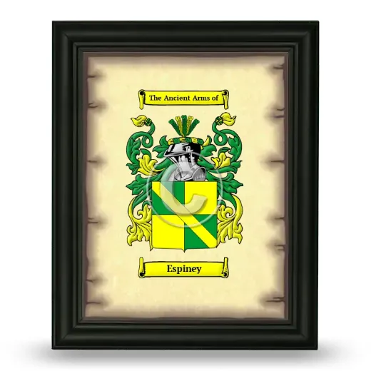 Espiney Coat of Arms Framed - Black