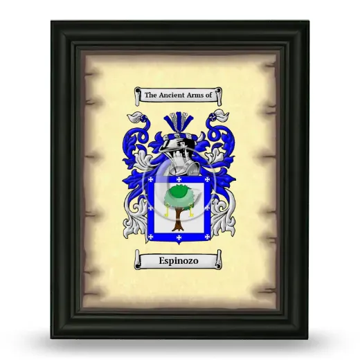 Espinozo Coat of Arms Framed - Black
