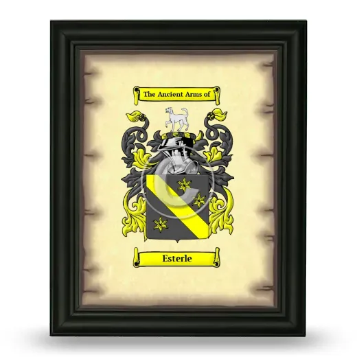 Esterle Coat of Arms Framed - Black