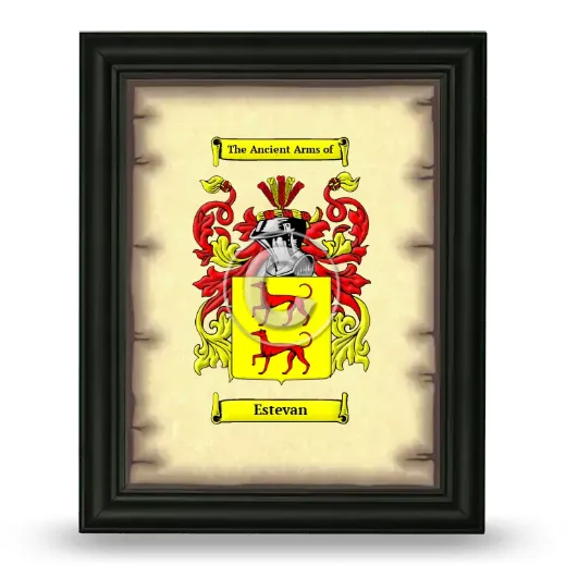 Estevan Coat of Arms Framed - Black