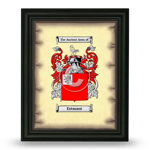 Estmant Coat of Arms Framed - Black