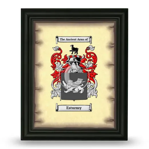 Esturmy Coat of Arms Framed - Black