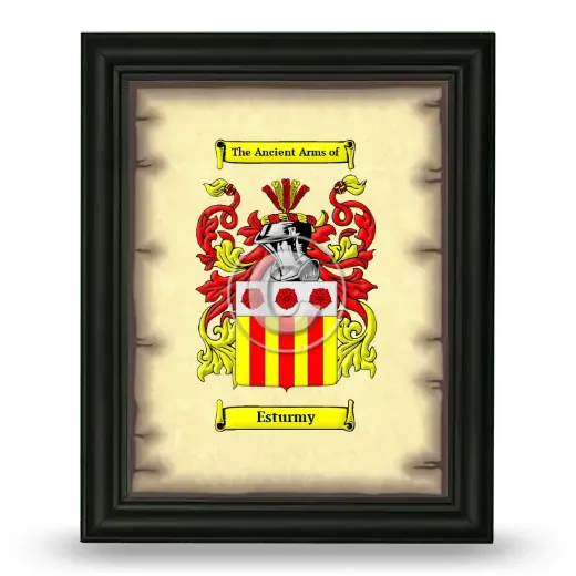 Esturmy Coat of Arms Framed - Black