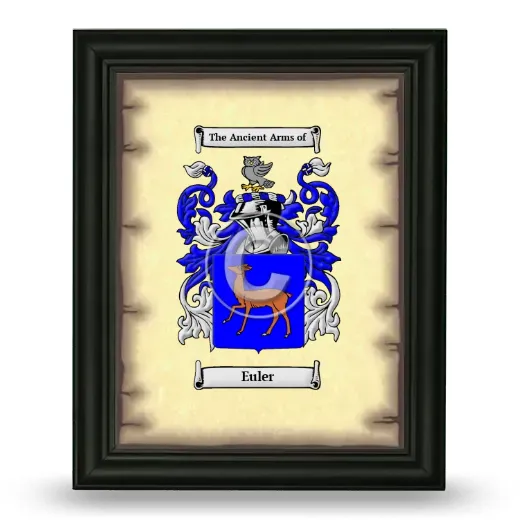 Euler Coat of Arms Framed - Black