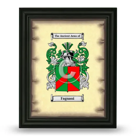 Fagnani Coat of Arms Framed - Black