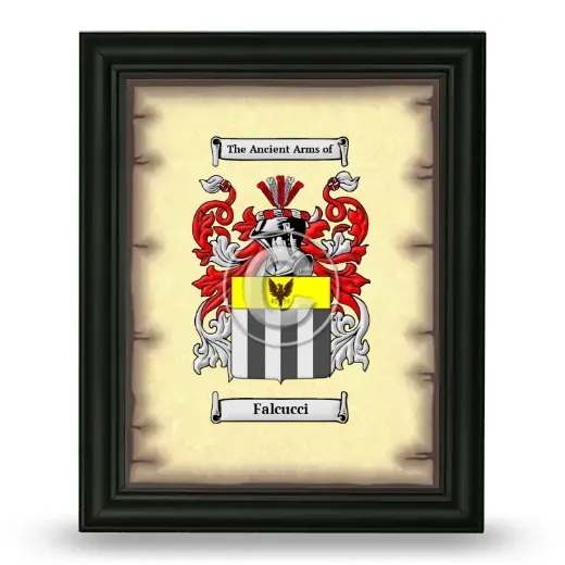 Falcucci Coat of Arms Framed - Black