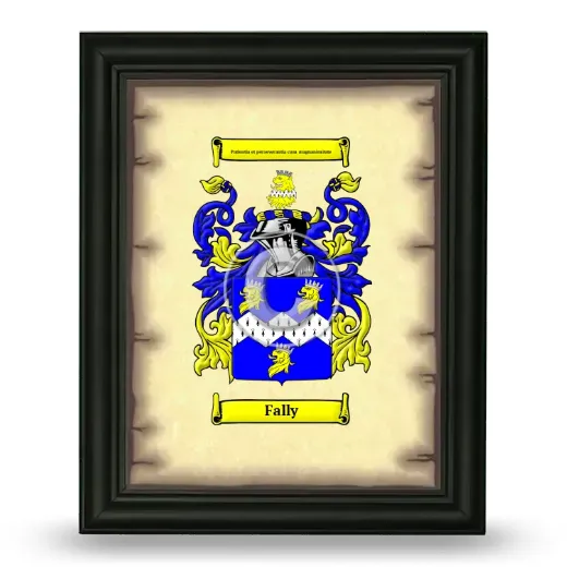 Fally Coat of Arms Framed - Black