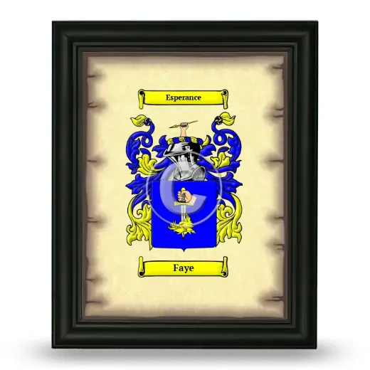 Faye Coat of Arms Framed - Black