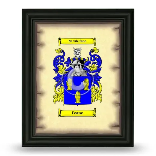 Feane Coat of Arms Framed - Black