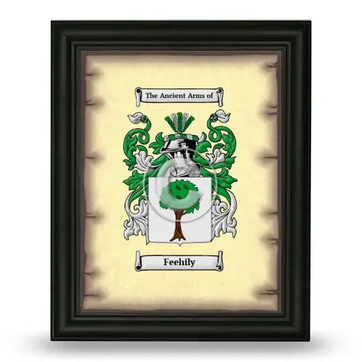 Feehily Coat of Arms Framed - Black